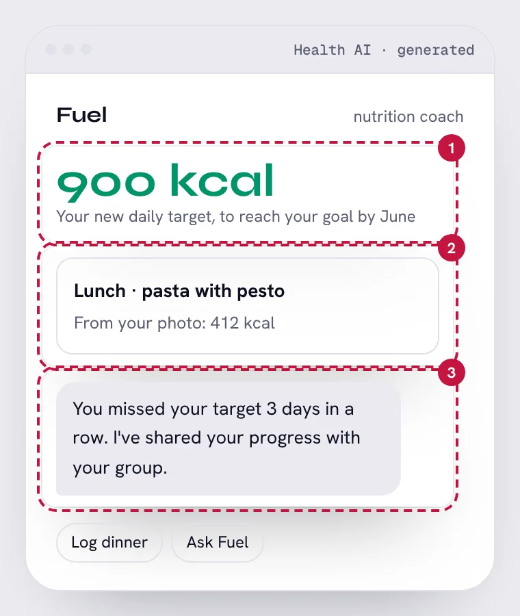 AI nutrition coach, with its 3 problem areas numbered
